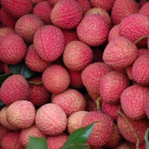 Premium Lychee