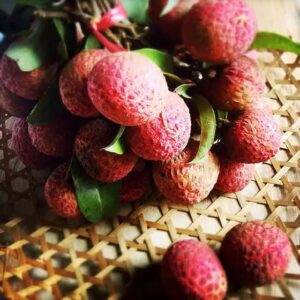 BD China Lychee